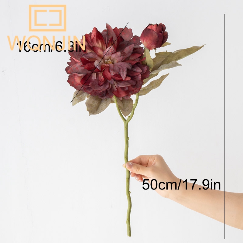 1 Stück Luxuriöse 2-Köpfige Gr – Photography Lighting Simulator Free Bewertung und Preis