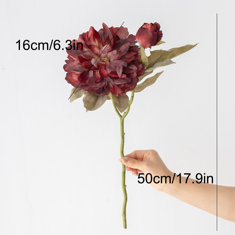 1 Stück Luxuriöse 2-Köpfige Gr – Photography Lighting Simulator Free Bewertung und Preis